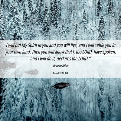 Picture 06 - Ezekiel 37:14 BSB - I will put My Spirit in you and you will live, - Bible Verse Picture