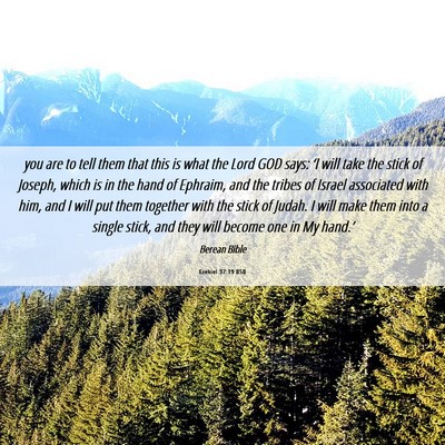 Picture 06 - Ezekiel 37:19 BSB - you are to tell them that this is what the Lord - Bible Verse Picture
