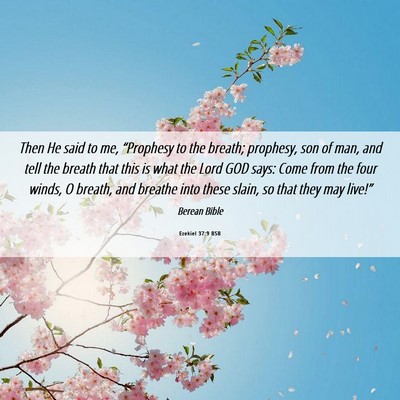 Picture 06 - Ezekiel 37:9 BSB - Then He said to me, “Prophesy to the breath; - Bible Verse Picture