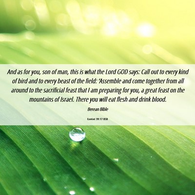 Picture 06 - Ezekiel 39:17 BSB - And as for you, son of man, this is what the Lord - Bible Verse Picture