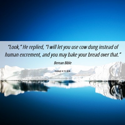 Picture 06 - Ezekiel 4:15 BSB - “Look,” He replied, “I will let you use cow - Bible Verse Picture