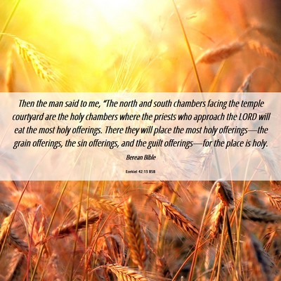 Picture 06 - Ezekiel 42:13 BSB - Then the man said to me, “The north and south - Bible Verse Picture