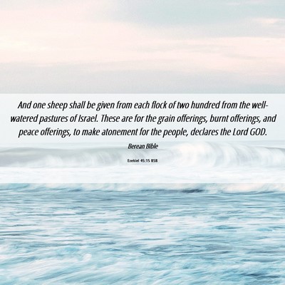 Picture 06 - Ezekiel 45:15 BSB - And one sheep shall be given from each flock of - Bible Verse Picture