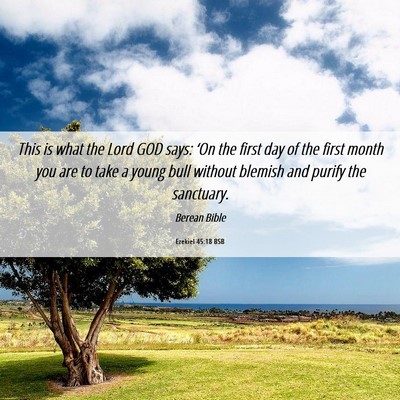 Picture 06 - Ezekiel 45:18 BSB - This is what the Lord GOD says: ‘On the first - Bible Verse Picture