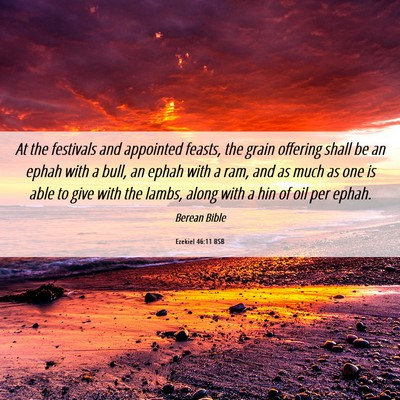 Picture 06 - Ezekiel 46:11 BSB - At the festivals and appointed feasts, the grain - Bible Verse Picture