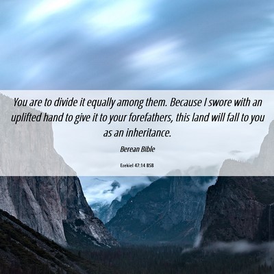 Picture 06 - Ezekiel 47:14 BSB - You are to divide it equally among them. Because - Bible Verse Picture