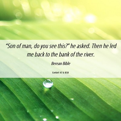 Picture 06 - Ezekiel 47:6 BSB - “Son of man, do you see this?” he asked. Then - Bible Verse Picture