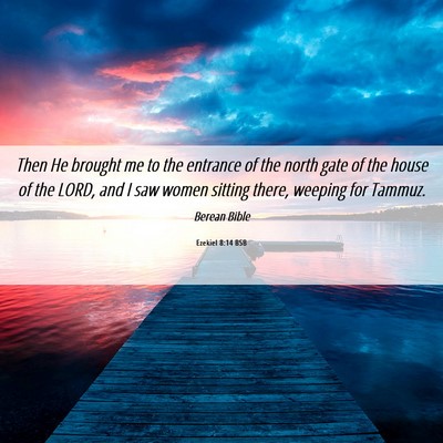 Picture 06 - Ezekiel 8:14 BSB - Then He brought me to the entrance of the north - Bible Verse Picture