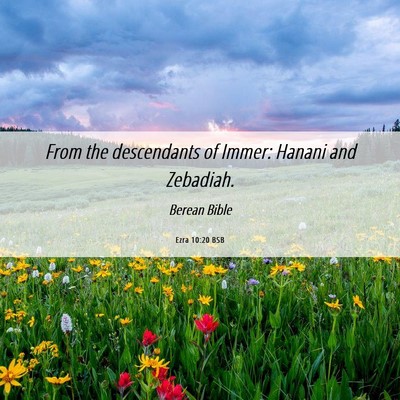 Picture 06 - Ezra 10:20 BSB - From the descendants of Immer: Hanani and - Bible Verse Picture