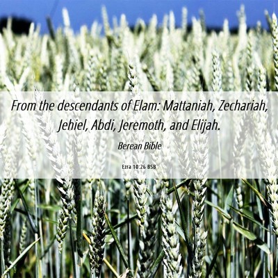 Picture 06 - Ezra 10:26 BSB - From the descendants of Elam: Mattaniah, - Bible Verse Picture
