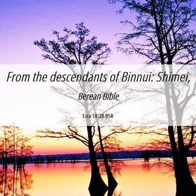 Picture 06 - Ezra 10:38 BSB - From the descendants of Binnui: - Bible Verse Picture
