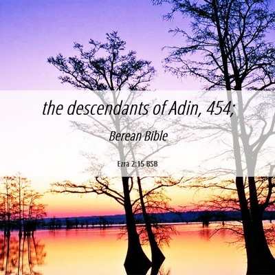 Picture 06 - Ezra 2:15 BSB - the descendants of Adin, - Bible Verse Picture