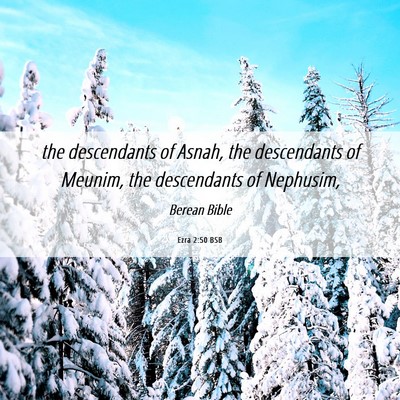 Picture 06 - Ezra 2:50 BSB - the descendants of Asnah, the descendants of - Bible Verse Picture