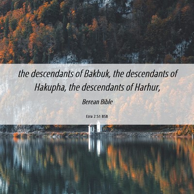 Picture 06 - Ezra 2:51 BSB - the descendants of Bakbuk, the descendants of - Bible Verse Picture