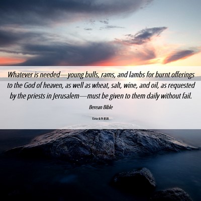 Picture 06 - Ezra 6:9 BSB - Whatever is needed—young bulls, rams, and lambs - Bible Verse Picture