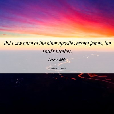 Picture 06 - Galatians 1:19 BSB - But I saw none of the other apostles except - Bible Verse Picture
