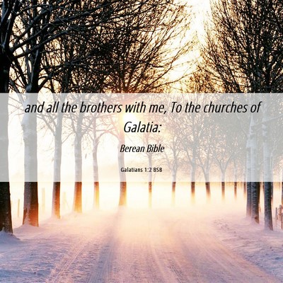 Picture 06 - Galatians 1:2 BSB - and all the brothers with me, To the churches of - Bible Verse Picture