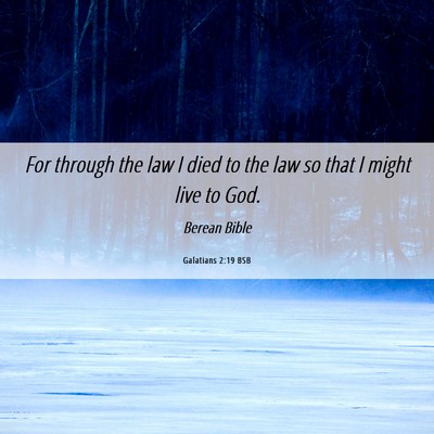 Picture 06 - Galatians 2:19 BSB - For through the law I died to the law so that I - Bible Verse Picture