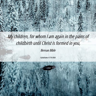 Picture 06 - Galatians 4:19 BSB - My children, for whom I am again in the pains of - Bible Verse Picture