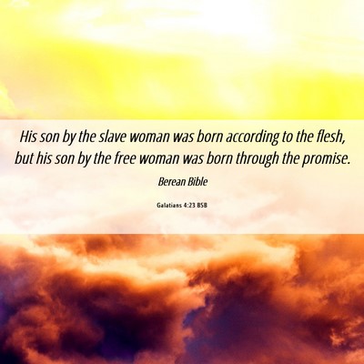 Picture 06 - Galatians 4:23 BSB - His son by the slave woman was born according to - Bible Verse Picture