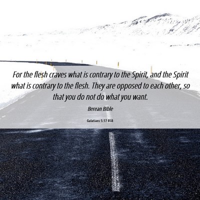 Picture 06 - Galatians 5:17 BSB - For the flesh craves what is contrary to the - Bible Verse Picture