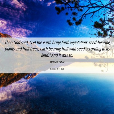 Picture 06 - Genesis 1:11 BSB - Then God said, “Let the earth bring forth - Bible Verse Picture