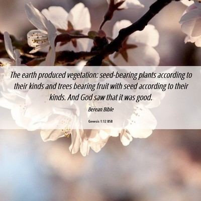 Picture 06 - Genesis 1:12 BSB - The earth produced vegetation: seed-bearing - Bible Verse Picture