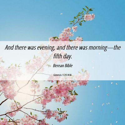 Picture 06 - Genesis 1:23 BSB - And there was evening, and there was - Bible Verse Picture