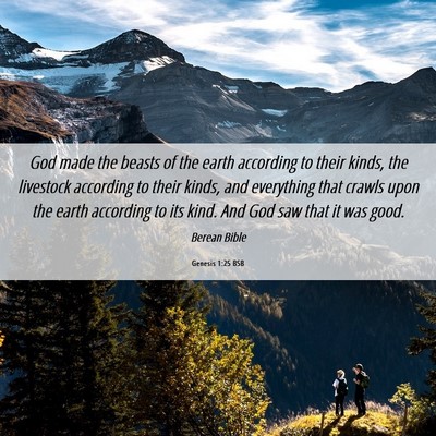 Picture 06 - Genesis 1:25 BSB - God made the beasts of the earth according to - Bible Verse Picture