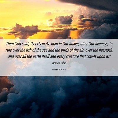 Picture 06 - Genesis 1:26 BSB - Then God said, “Let Us make man in Our image, - Bible Verse Picture