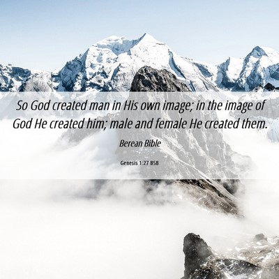 Picture 06 - Genesis 1:27 BSB - So God created man in His own image; in the image - Bible Verse Picture