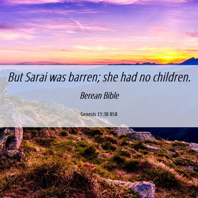 Picture 06 - Genesis 11:30 BSB - But Sarai was barren; she had no - Bible Verse Picture