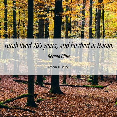 Picture 06 - Genesis 11:32 BSB - Terah lived 205 years, and he died in - Bible Verse Picture