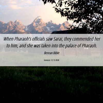 Picture 06 - Genesis 12:15 BSB - When Pharaoh’s officials saw Sarai, they - Bible Verse Picture