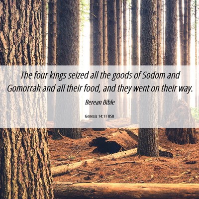Picture 06 - Genesis 14:11 BSB - The four kings seized all the goods of Sodom and - Bible Verse Picture