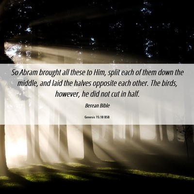 Picture 06 - Genesis 15:10 BSB - So Abram brought all these to Him, split each of - Bible Verse Picture