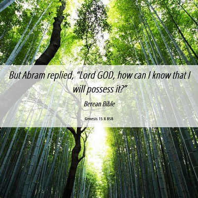 Picture 06 - Genesis 15:8 BSB - But Abram replied, “Lord GOD, how can I know - Bible Verse Picture