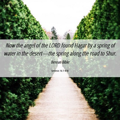 Picture 06 - Genesis 16:7 BSB - Now the angel of the LORD found Hagar by a spring - Bible Verse Picture