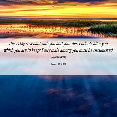 Picture 06 - Genesis 17:10 BSB - This is My covenant with you and your descendants - Bible Verse Picture