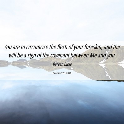 Picture 06 - Genesis 17:11 BSB - You are to circumcise the flesh of your foreskin, - Bible Verse Picture