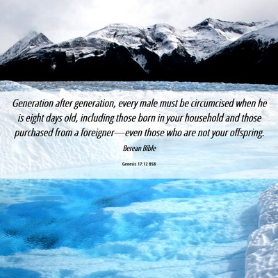 Picture 06 - Genesis 17:12 BSB - Generation after generation, every male must be - Bible Verse Picture