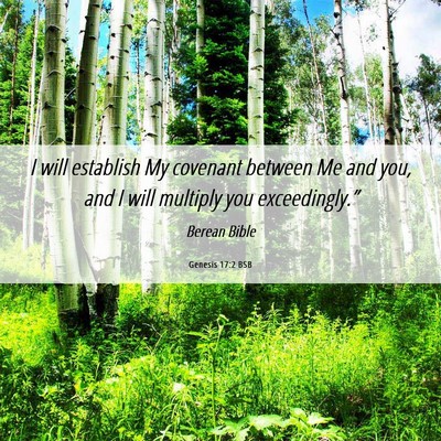 Picture 06 - Genesis 17:2 BSB - I will establish My covenant between Me and you, - Bible Verse Picture