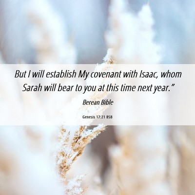 Picture 06 - Genesis 17:21 BSB - But I will establish My covenant with Isaac, whom - Bible Verse Picture