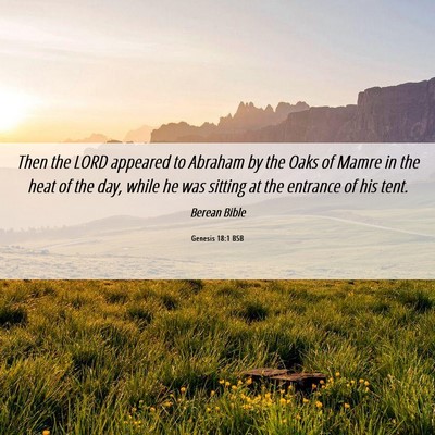 Picture 06 - Genesis 18:1 BSB - Then the LORD appeared to Abraham by the Oaks of - Bible Verse Picture