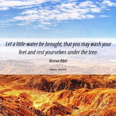 Picture 06 - Genesis 18:4 BSB - Let a little water be brought, that you may wash - Bible Verse Picture