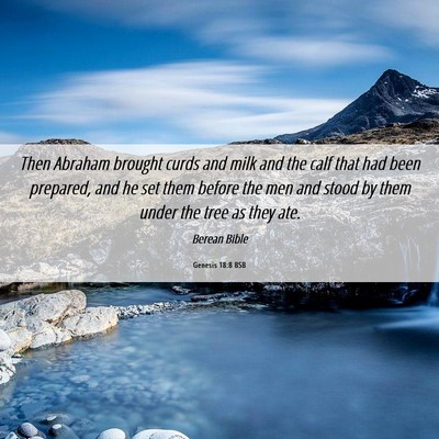 Picture 06 - Genesis 18:8 BSB - Then Abraham brought curds and milk and the calf - Bible Verse Picture