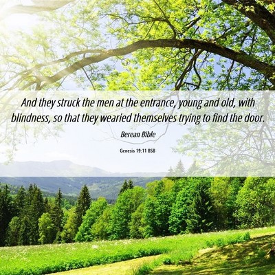 Picture 06 - Genesis 19:11 BSB - And they struck the men at the entrance, young - Bible Verse Picture