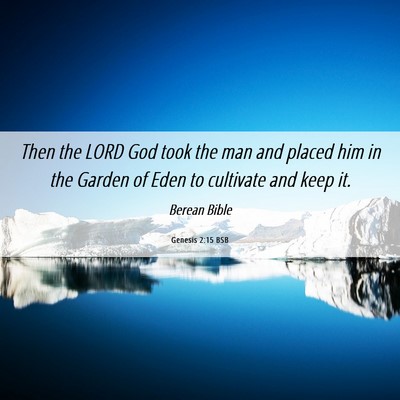 Picture 06 - Genesis 2:15 BSB - Then the LORD God took the man and placed him in - Bible Verse Picture