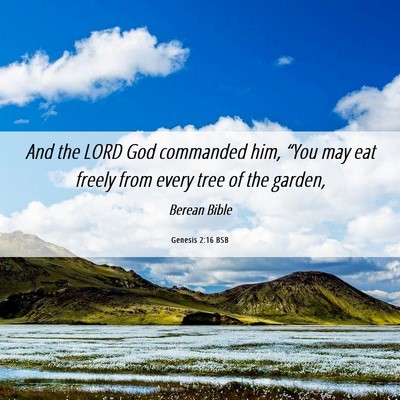 Picture 06 - Genesis 2:16 BSB - And the LORD God commanded him, “You may eat - Bible Verse Picture