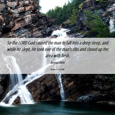 Picture 06 - Genesis 2:21 BSB - So the LORD God caused the man to fall into a - Bible Verse Picture